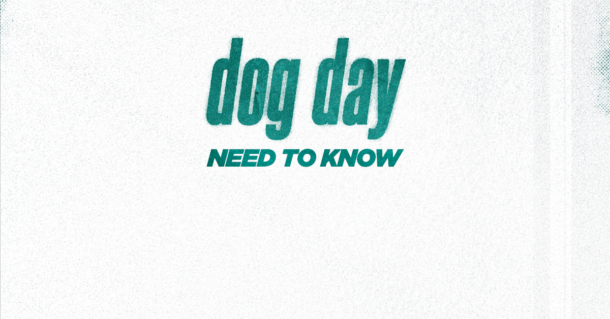 Dog Day: What to Know Beforehand