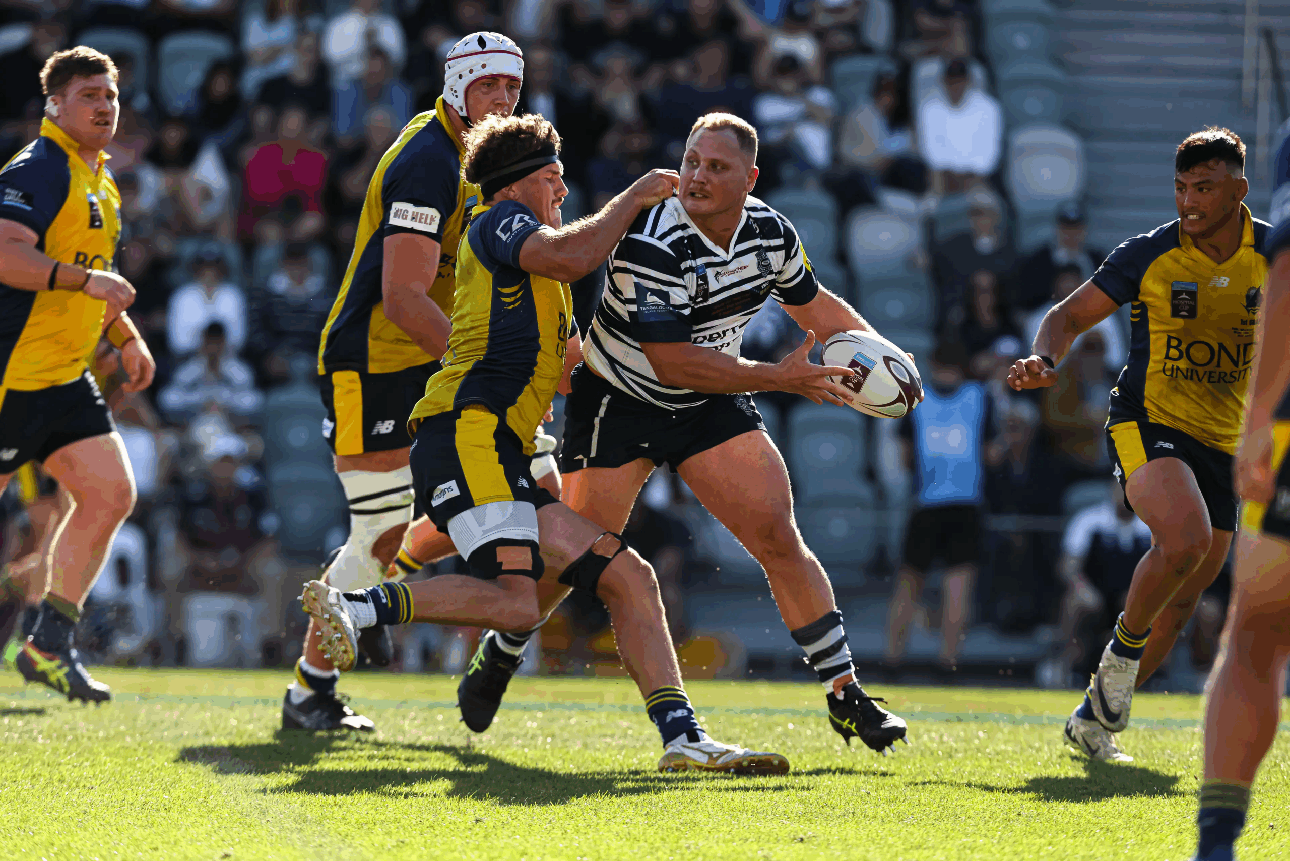 Hounds Sign Hooker with Super Rugby Experience